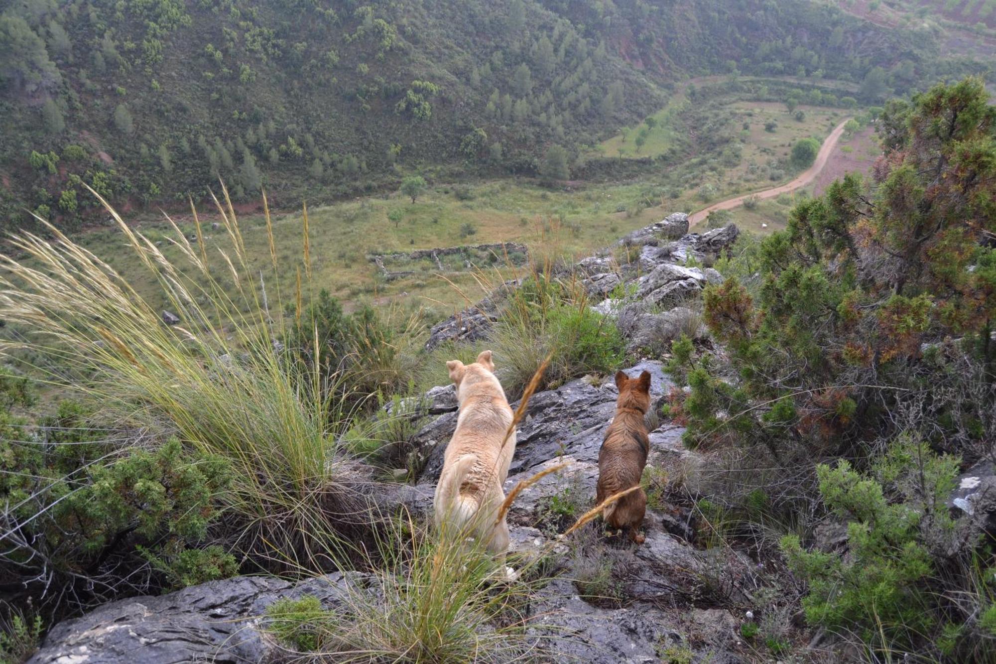 Las Casas De La Vega Enguídanos エクステリア 写真